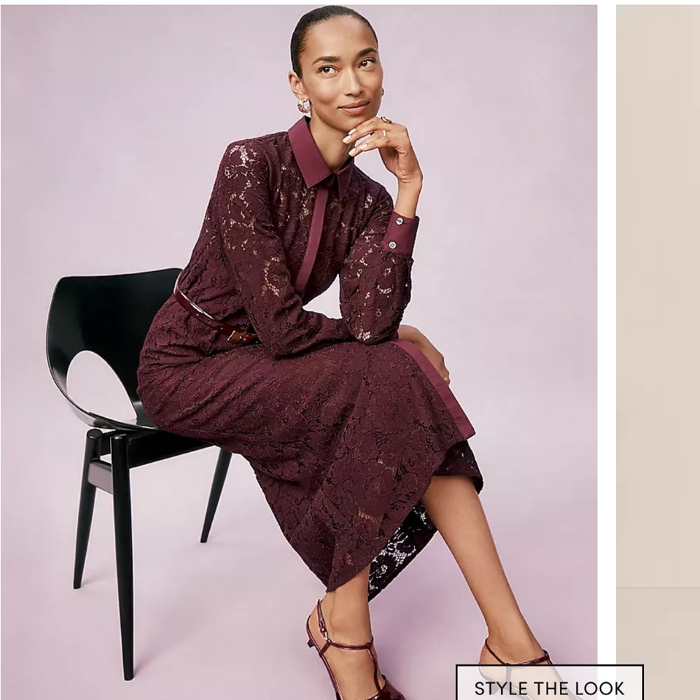Ann Taylor Burgundy Lace Dress